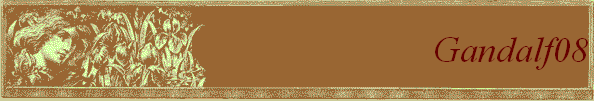 Gandalf08