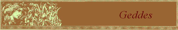 Geddes         